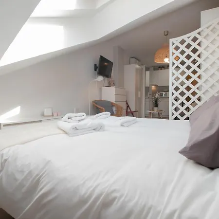 C96 - Brilliant Penthouse Studio Malaga