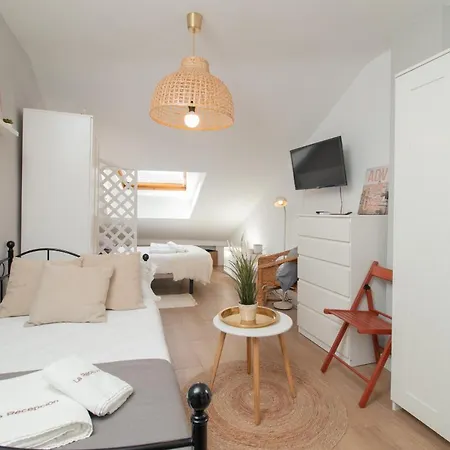 Appartamento C96 - Brilliant Penthouse Studio